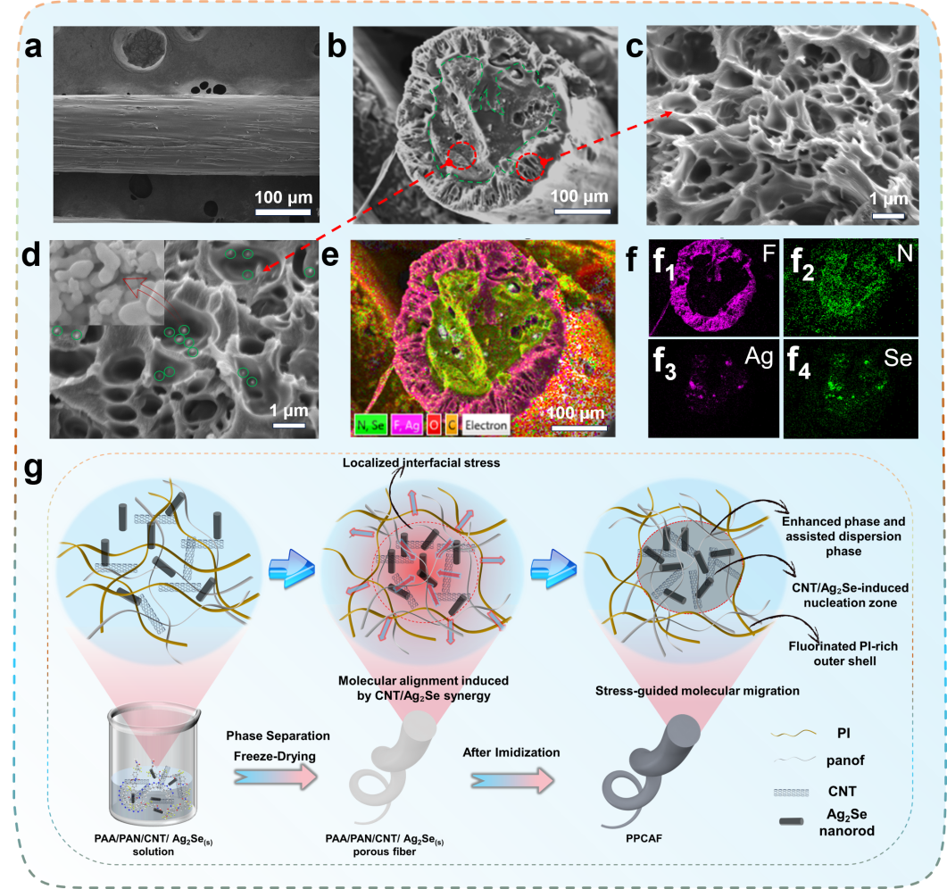 大连工业大学郭静教授&管福成老师等：基于鞘芯结构的聚酰亚胺多孔热电纤维，用于火灾早期预警与阻燃防护的新型自供电材料